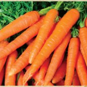 Carrots's vitamins improve skin