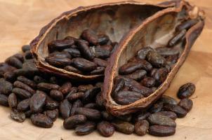 Health Benefits of Dark Chocolate