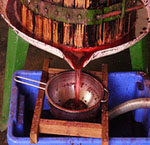 Making Organic Wine