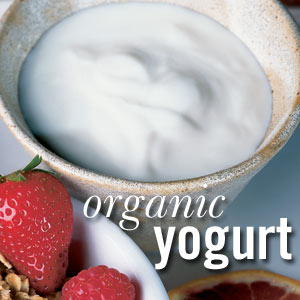 Yogurt is one of the 10 Super Foods. Pictured here is a small cup of yogurt next to strawberries